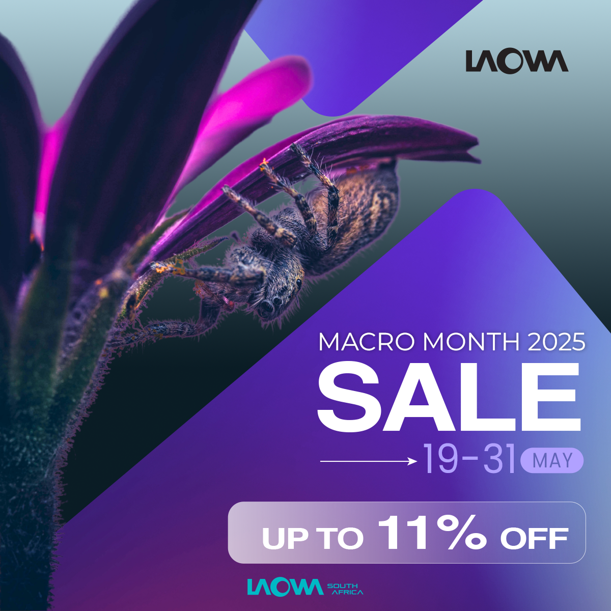 Macro Month May 2025