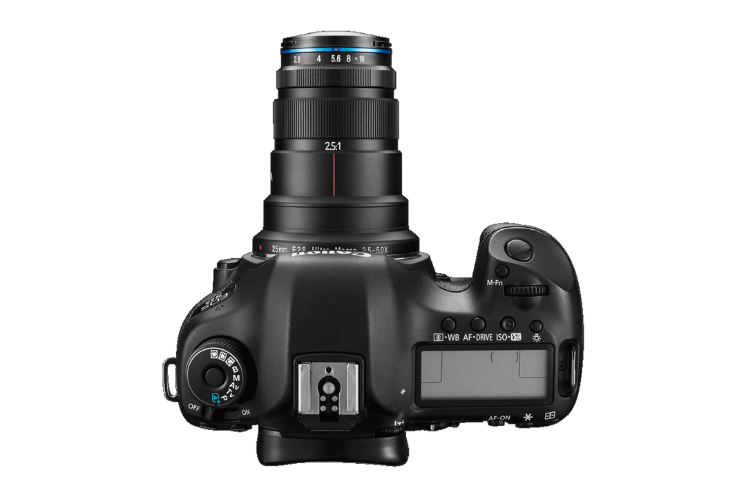 Laowa 25mm f2.8 2.5-5X Ultra Macro FF Lens – Laowa South Africa Laowa 25mm f2.8 2.5-5X Ultra Macro FF Lens – Laowa South Africa
