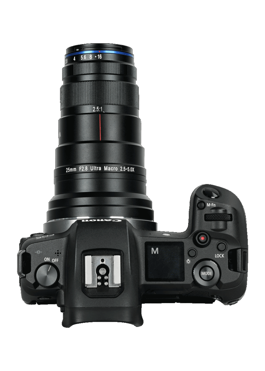 Laowa 25mm f2.8 2.5-5X Ultra Macro FF Lens – Laowa South Africa Laowa 25mm f2.8 2.5-5X Ultra Macro FF Lens – Laowa South Africa